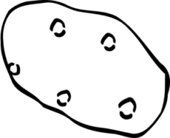 potato