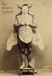 bugman1