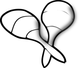 maracas