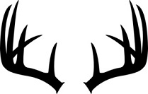 antler