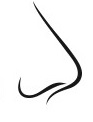 nose